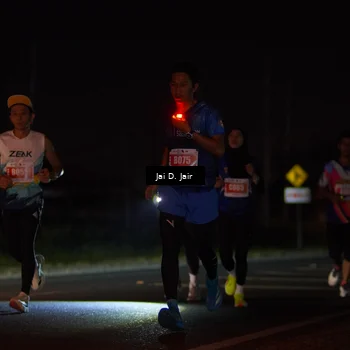 Runner Photo 4338522