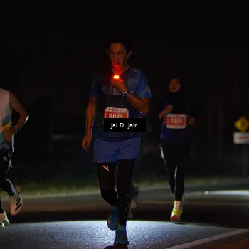 Runner Photo 4338528