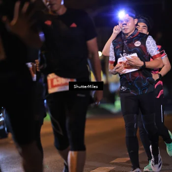 Runner Photo 4338842