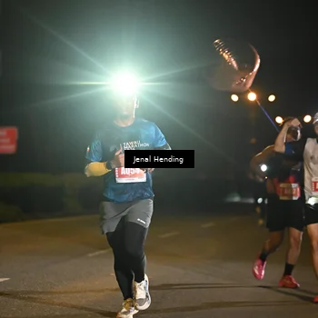 Runner Photo 4339368