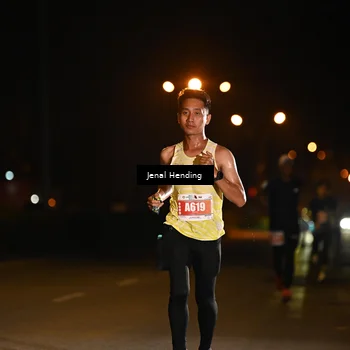 Runner Photo 4339847