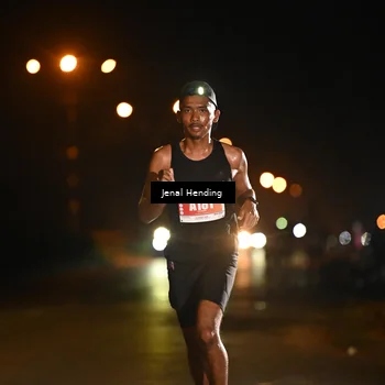 Runner Photo 4339868