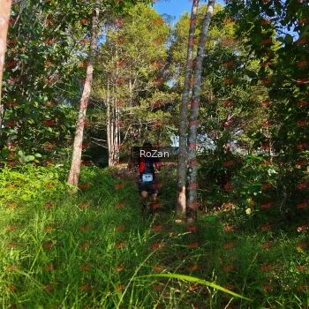 Runner Photo 4340