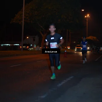 Runner Photo 4340201