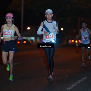 Runner Photo 4340230