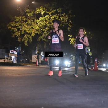 Runner Photo 4341635