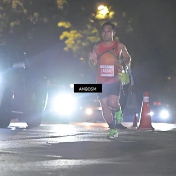 Runner Photo 4341644