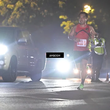 Runner Photo 4341647