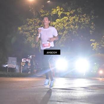 Runner Photo 4341651