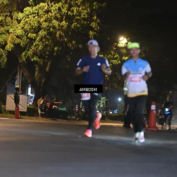 Runner Photo 4341671