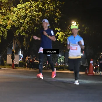Runner Photo 4341672