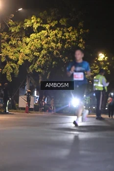 Runner Photo 4341682