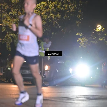 Runner Photo 4341749