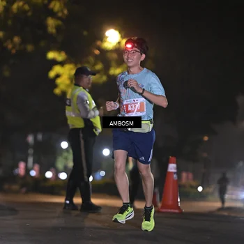 Runner Photo 4341752