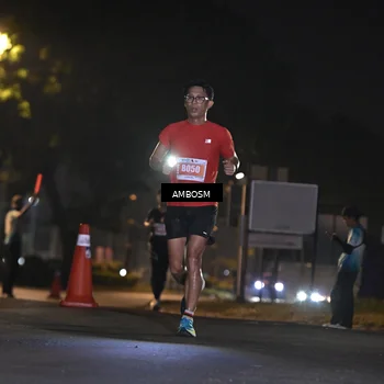 Runner Photo 4341761