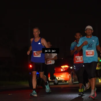 Runner Photo 4341790
