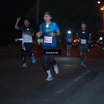 Runner Photo 4342241