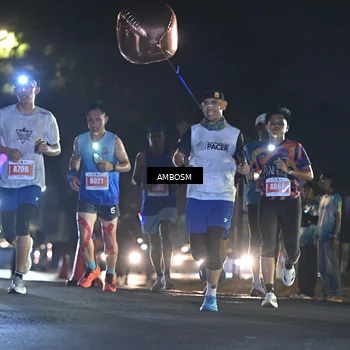Runner Photo 4342293