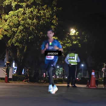 Runner Photo 4342339