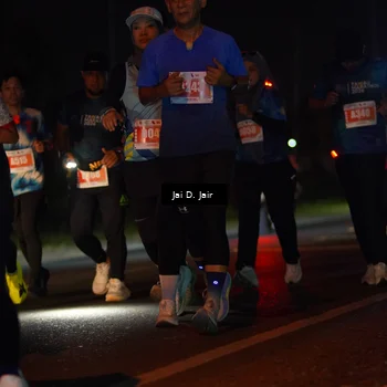 Runner Photo 4344048