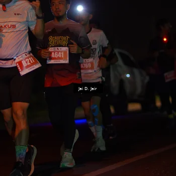 Runner Photo 4344233