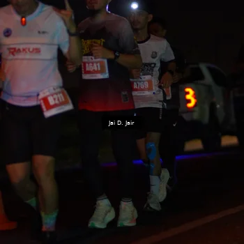 Runner Photo 4344239
