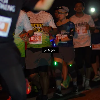 Runner Photo 4344949