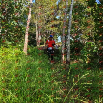 Runner Photo 4346