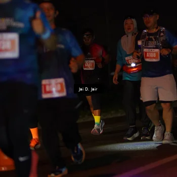 Runner Photo 4346279