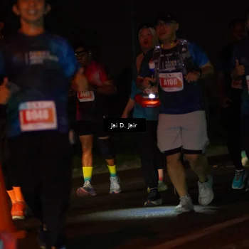 Runner Photo 4346295