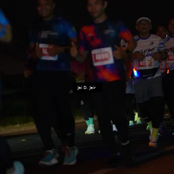 Runner Photo 4346340