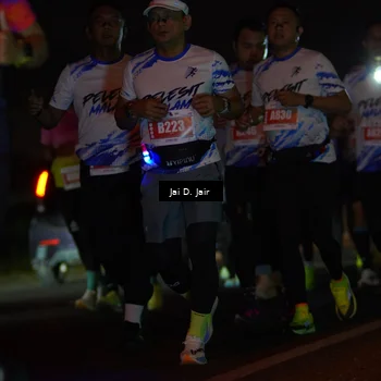 Runner Photo 4346380
