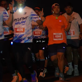 Runner Photo 4346432