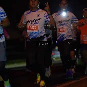 Runner Photo 4346447