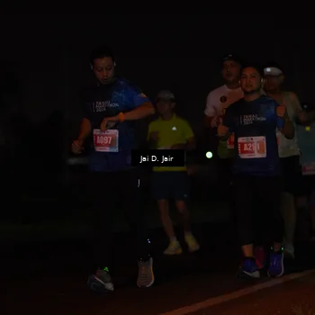 Runner Photo 4346640
