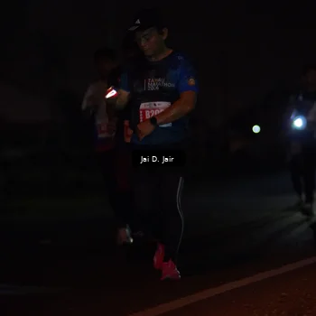 Runner Photo 4346849
