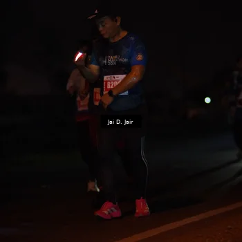 Runner Photo 4346867
