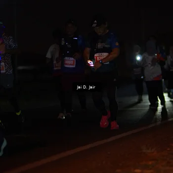 Runner Photo 4346869