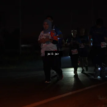 Runner Photo 4346893