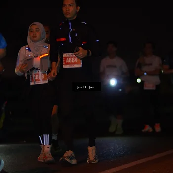 Runner Photo 4346969