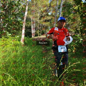 Runner Photo 4347