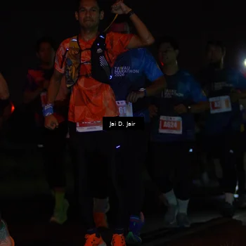 Runner Photo 4347212