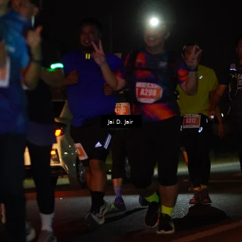 Runner Photo 4347832