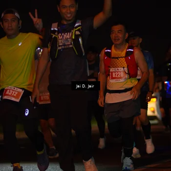 Runner Photo 4347966