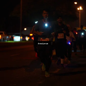 Runner Photo 4348187