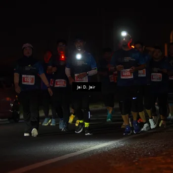 Runner Photo 4348467