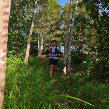 Runner Photo 4349