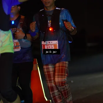 Runner Photo 4349420