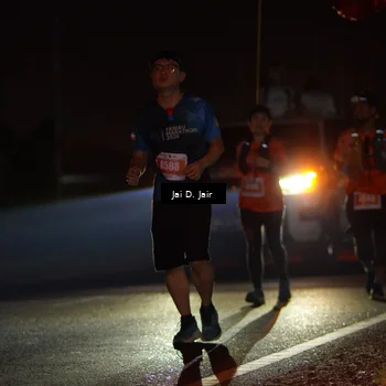 Runner Photo 4349427