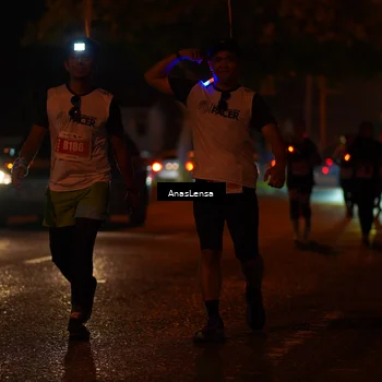 Runner Photo 4349840